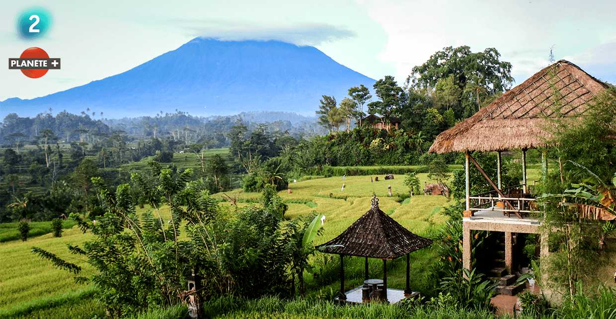 Bali, construire l’harmonie