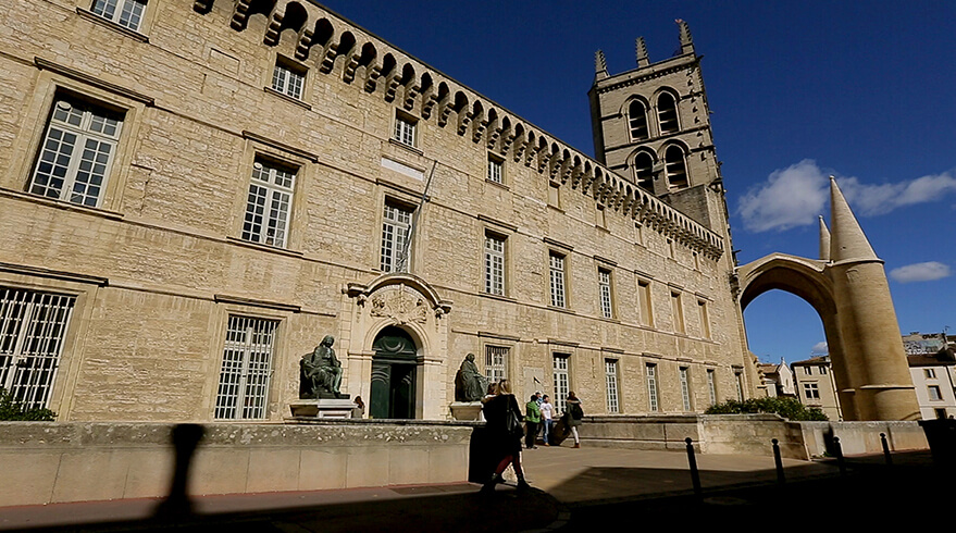 Fusion des universités